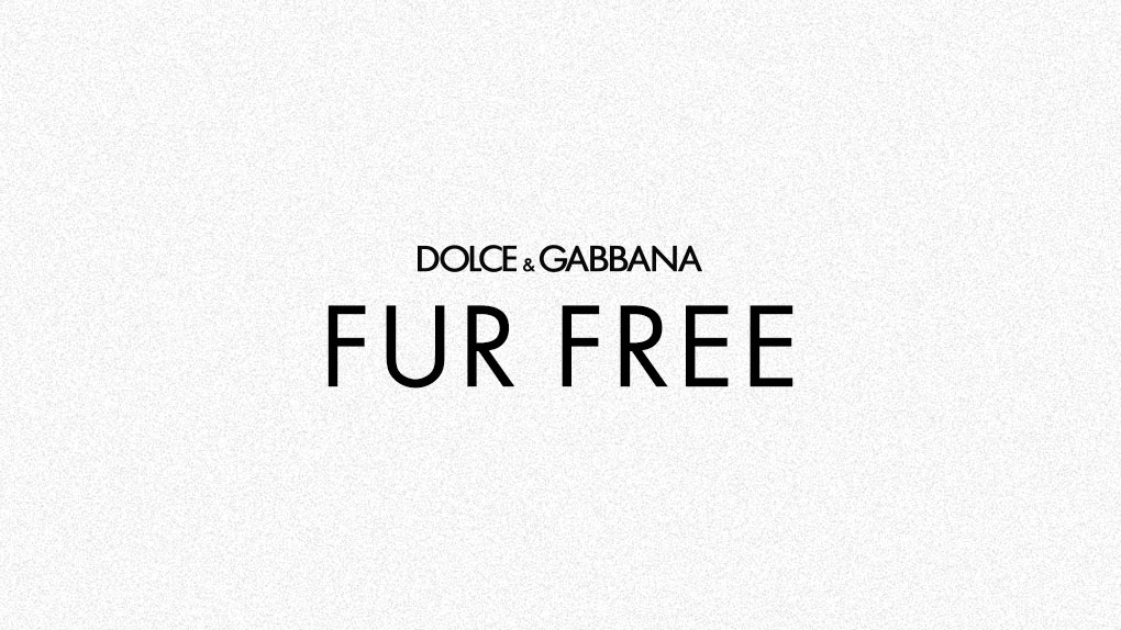 Fur Free Policy