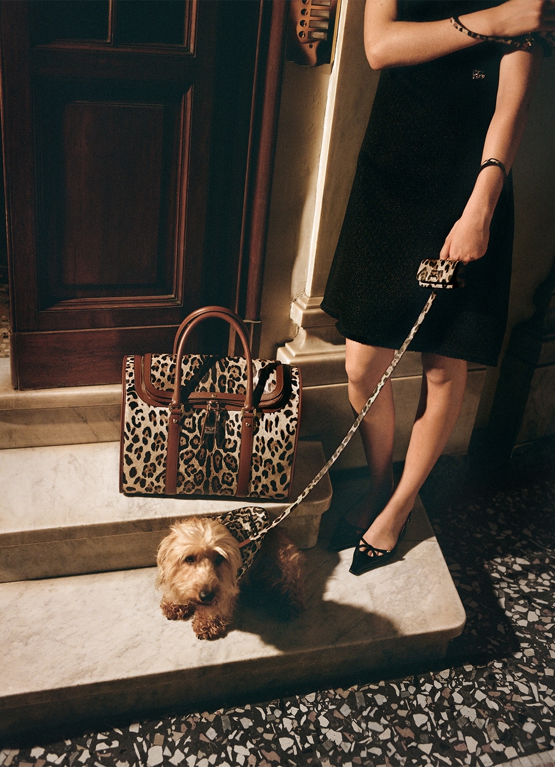 Dolce&Gabbana | New fashion line for dogs