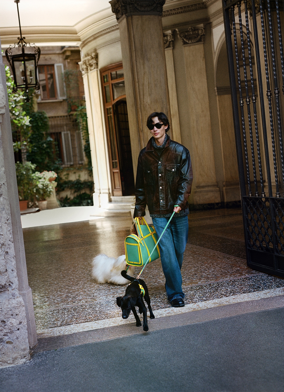 Dolce&Gabbana | New fashion line for dogs