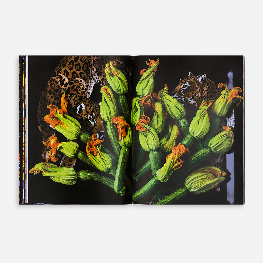 Dolce&Gabbana Books | La Sicilia in cucina 